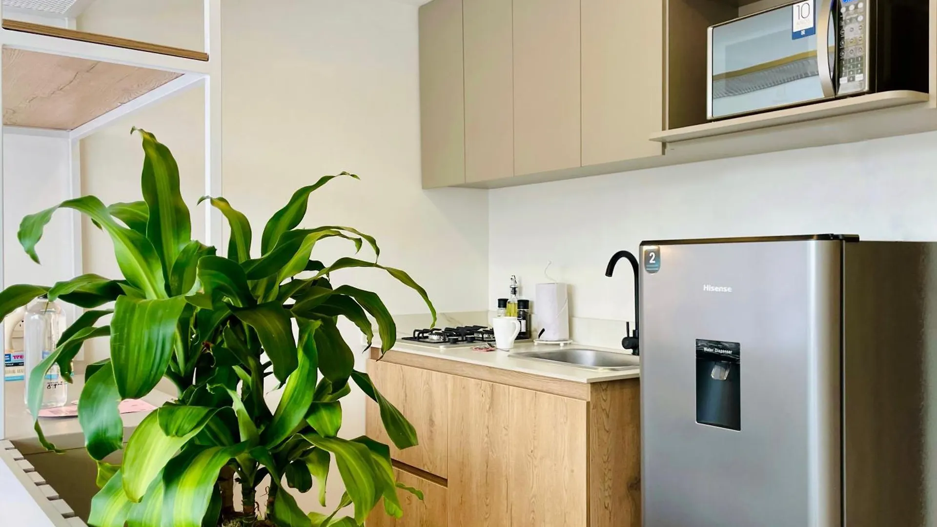 アパートホテル メデジン Oliving By Wynwood Houseアパートホテル コロンビア
